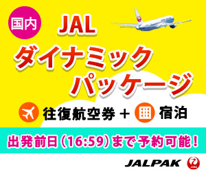 ＪＡＬ　ダイナミックパッケージパンフレット表面画像