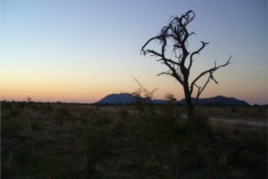 南アフリカ・サファリの日没